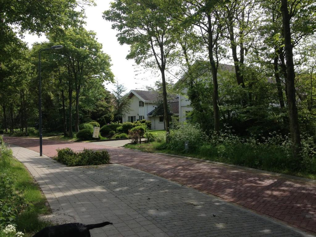 Villa Zeezout I Kloeg Collection Zoutelande Exterior foto